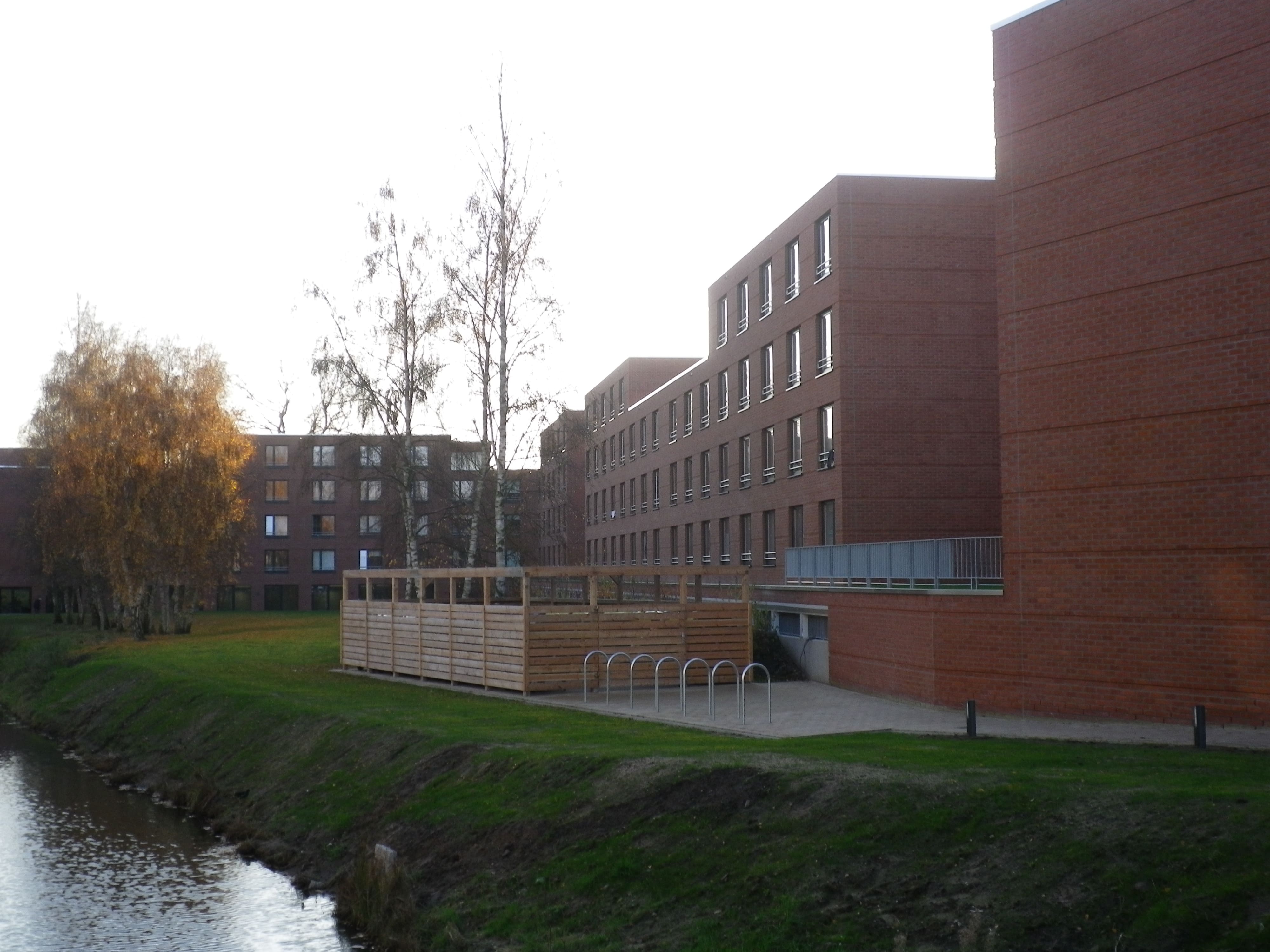 Campus Viva